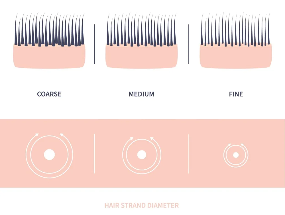 A diagram showing the structure of fine hair.