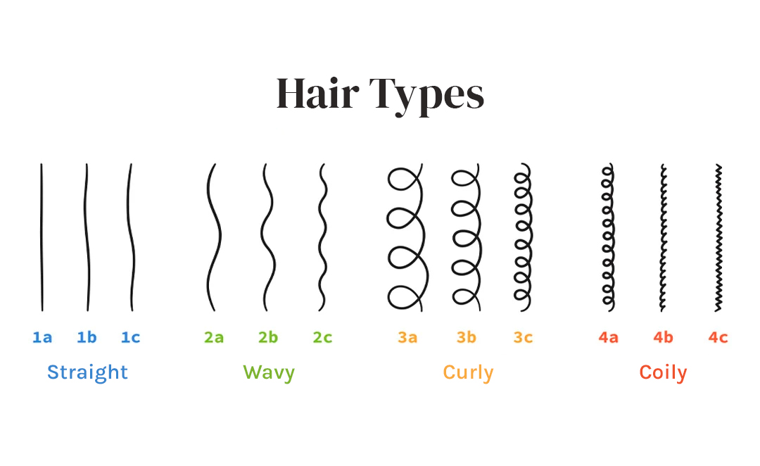 Illustration of curly hair structure, showing the hair types.