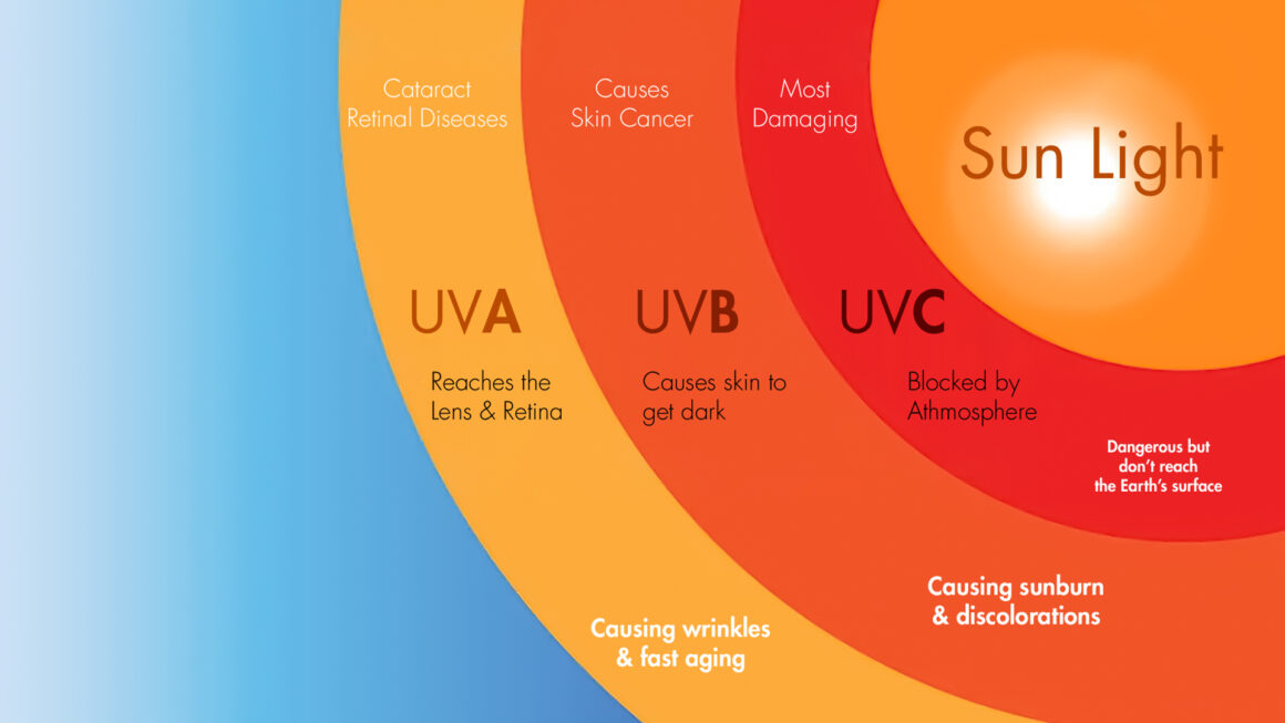 An Illustration showing the impact of each UV ray on the the skin